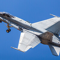 Buy canvas prints of Royal Canadian Air Force CF-18 Hornet by Jason Wells