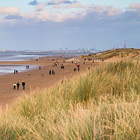 Buy canvas prints of Overlooking the dune grass on Leasowe Beach by Jason Wells