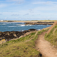 Buy canvas prints of Pathway bending round to Porth Trecastell by Jason Wells