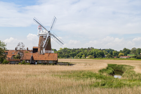 Cley Windmill behind the wetlands Picture Board by Jason Wells