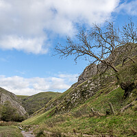 Buy canvas prints of Dovedale in autumn by Jason Wells