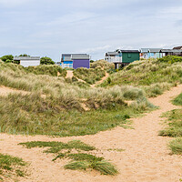 Buy canvas prints of Beach huts nestled in the sand dunes at Hunstanton by Jason Wells