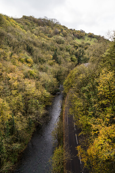 View from Millers Dale Bridge Picture Board by Jason Wells