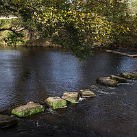 Buy canvas prints of Stepping stones span the River Derwent by Jason Wells
