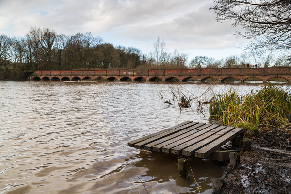 Fishing platform on the edge of Carr Mill Dam Picture Board by Jason Wells