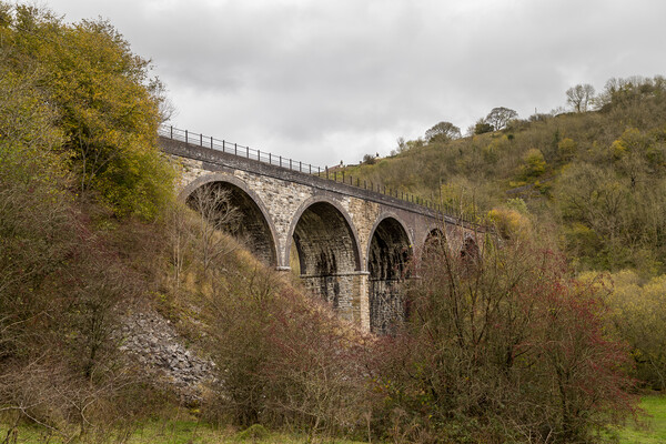 Looking up at the Monsal Head viaduct Picture Board by Jason Wells