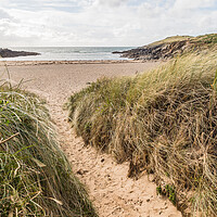Buy canvas prints of Trail down to Porth Nobla by Jason Wells
