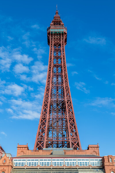 Looking up at Blackpool Tower Picture Board by Jason Wells