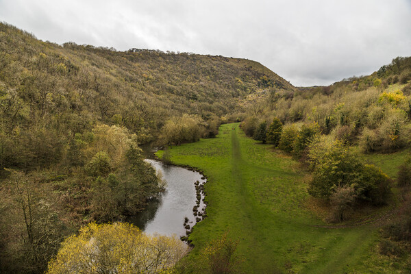 River Wye flowing into the Monsal Dale Picture Board by Jason Wells