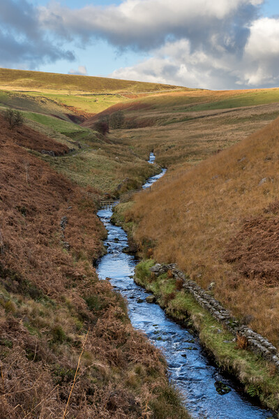 River Dane flowing down a valley Picture Board by Jason Wells
