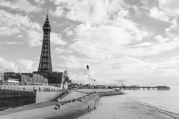 Blackpool Tower and the Central Pier in monochrome Picture Board by Jason Wells