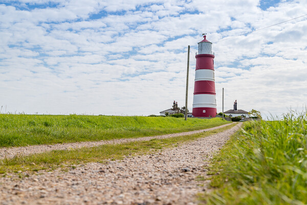 Pathway to Happisburgh lighthouse Picture Board by Jason Wells