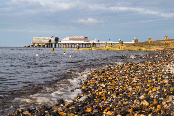 Gulls bob on the sea at Cromer Picture Board by Jason Wells