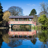 Buy canvas prints of Duck by Swiss Bridge in Birkenhead Park by Jason Wells