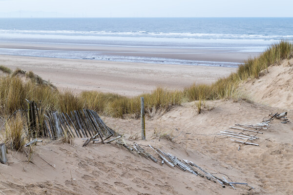 Fallen fence leading down to Formby beach Picture Board by Jason Wells