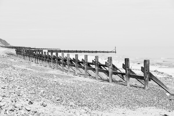 Wooden revetments at West Runton Picture Board by Jason Wells