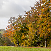 Buy canvas prints of Autumn colours at Hathersage by Jason Wells