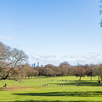 Buy canvas prints of Birkenhead Park panorama by Jason Wells
