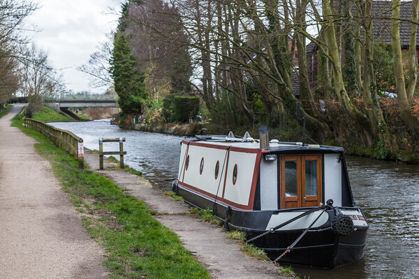 Small narrow boat on the canal Picture Board by Jason Wells