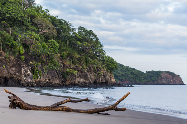Rugged coastline of Guanacaste Picture Board by Jason Wells