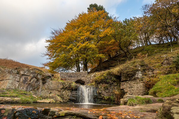 Golden colours at Three Shires Head Picture Board by Jason Wells