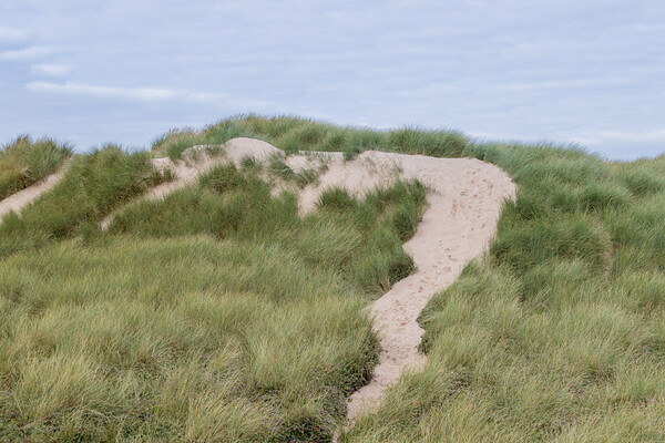 Foot prints over Formby sand dunes Picture Board by Jason Wells