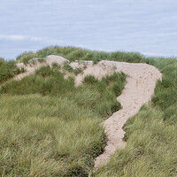 Buy canvas prints of Foot prints over Formby sand dunes by Jason Wells