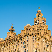 Buy canvas prints of Royal Liver Building in golden light by Jason Wells