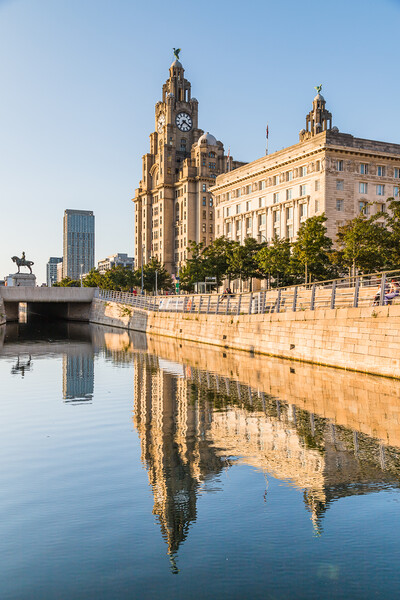 Reflections of the Liver Building Picture Board by Jason Wells