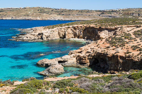Rugged coastline of Comino Picture Board by Jason Wells