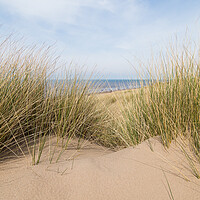 Buy canvas prints of Sand dunes over Formby beach by Jason Wells