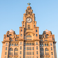 Buy canvas prints of Looking up at the Royal Liver Building by Jason Wells