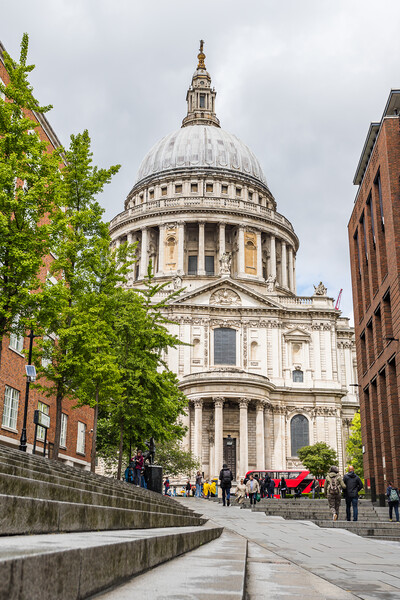 St Pauls from Sermon Lane Picture Board by Jason Wells