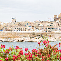 Buy canvas prints of Pretty flowers in front of the Valletta skyline by Jason Wells