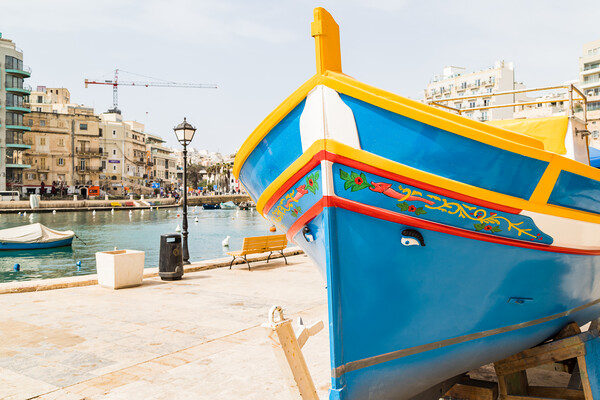 Luzzu boat on the edge of Spinola Bay Picture Board by Jason Wells