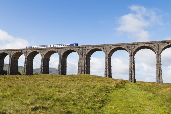 Train passing over the Ribblehead Viaduct  Picture Board by Jason Wells