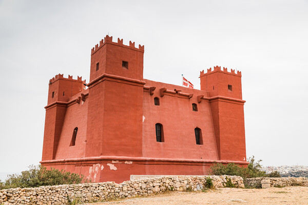 Red Tower in Mellieha Picture Board by Jason Wells
