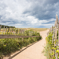 Buy canvas prints of Path to Holkham beach by Jason Wells