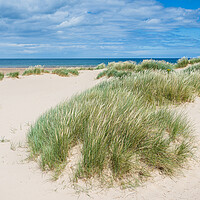 Buy canvas prints of Sand dunes at Holkham Beach by Jason Wells