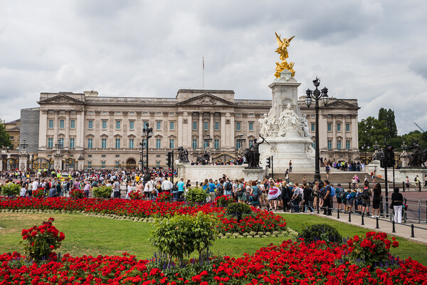 Flowers around Buckingham Palace Picture Board by Jason Wells