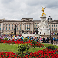 Buy canvas prints of Flowers around Buckingham Palace by Jason Wells