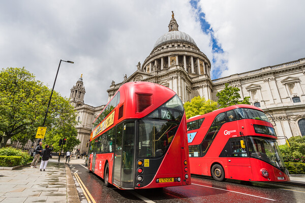 London buses in front of St Pauls Cathedral Picture Board by Jason Wells