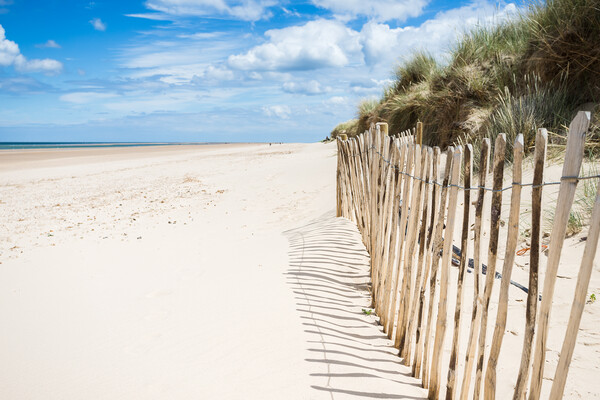 Beach fence at Holkham Picture Board by Jason Wells