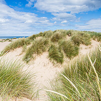 Buy canvas prints of Holkham beach sand dunes by Jason Wells