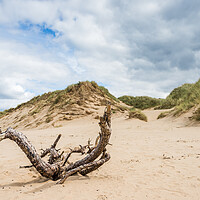 Buy canvas prints of Drift wood on Formby beach by Jason Wells