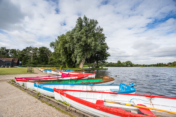 Boats moored Thorpeness Meare Picture Board by Jason Wells