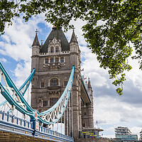 Buy canvas prints of Tower Bridge under the trees by Jason Wells