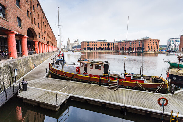 Boats around the Royal Albert Dock Picture Board by Jason Wells