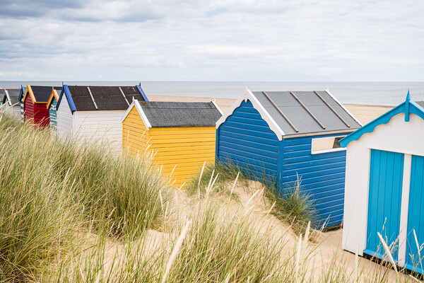 Southwold beach huts Picture Board by Jason Wells