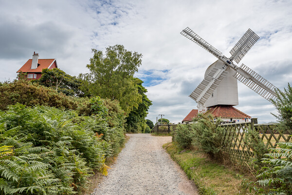 Thorpeness windmill next to the House in the Clouds Picture Board by Jason Wells